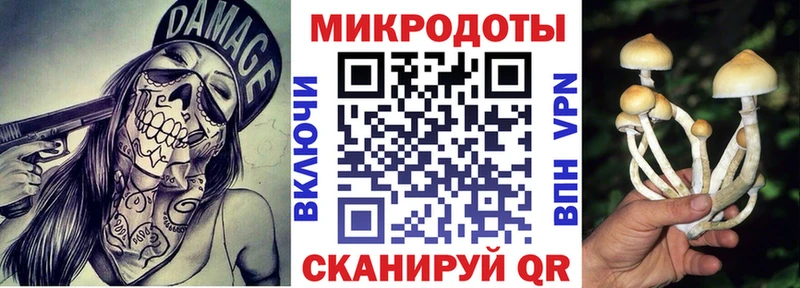 Галлюциногенные грибы MAGIC MUSHROOMS  Нестеров 